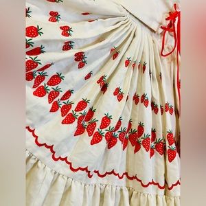 Amazing, traditional, square dance dress with embroidered strawberries.